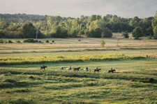 Bosnia-Herzegovina-Herzegovina Nature Ride